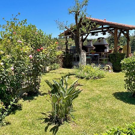 Villa Toula With Pool Nr Armeni Crete Makhairoi Bagian luar foto